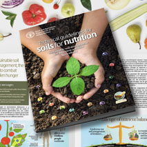 Soil Doctors