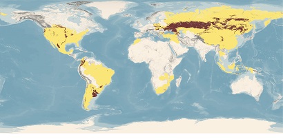 International Network of Black Soils