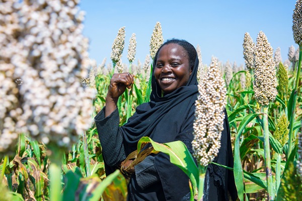 ©FAO/Mahmoud Shamrouk