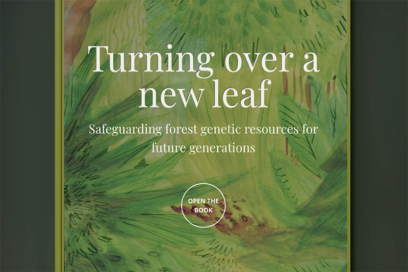 Cover of the interactive story "Turning over a new leaf"