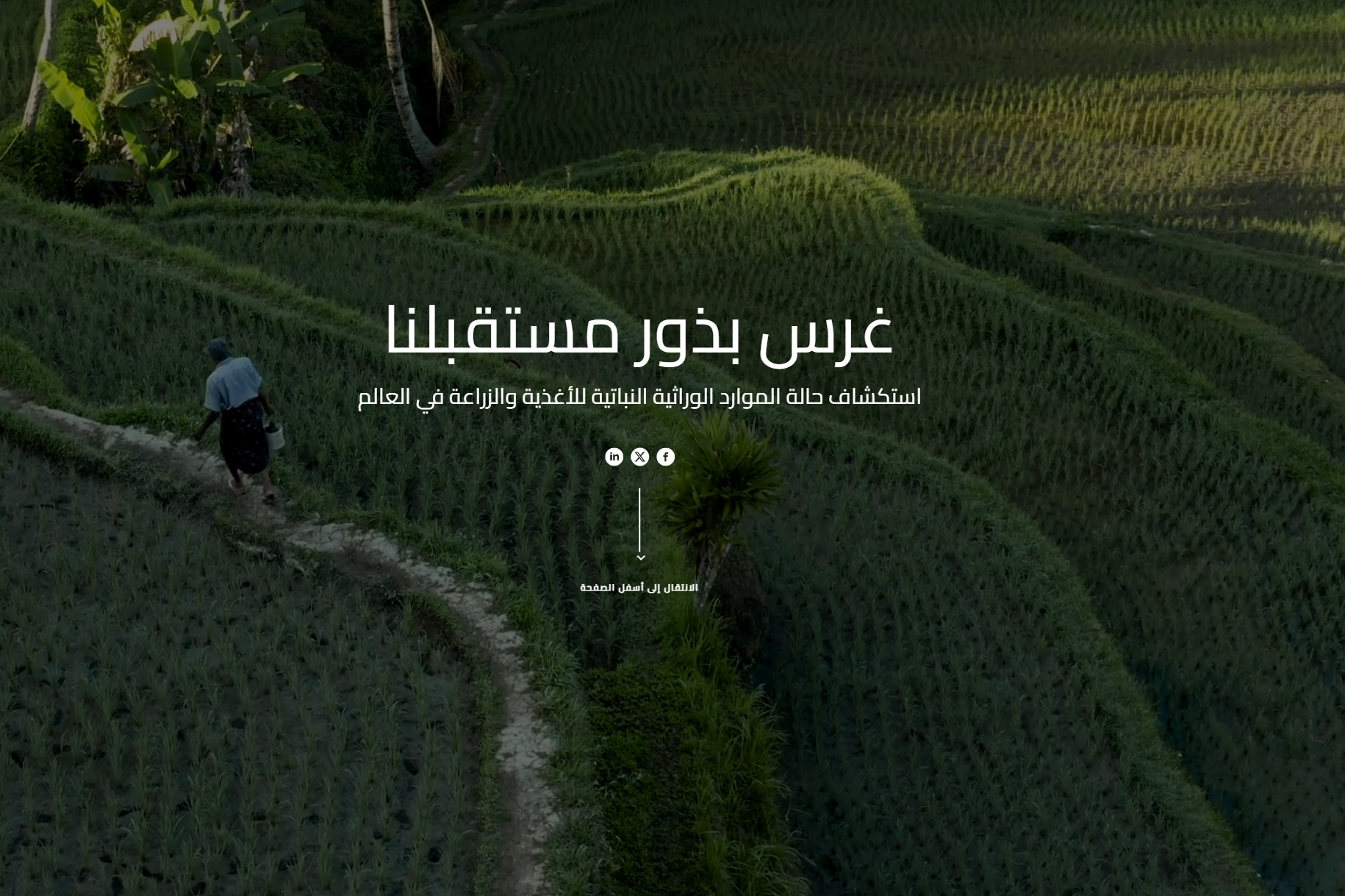 غرس بذور مستقبلنا