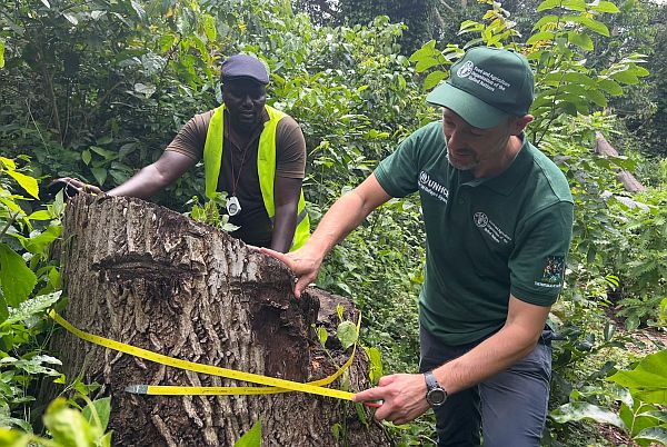 Uganda - Greening the Humanitarian Response Project