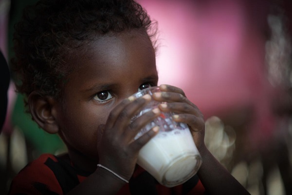 Ethiopia_© FAO/IFAD/WFP/Michael Tewelde