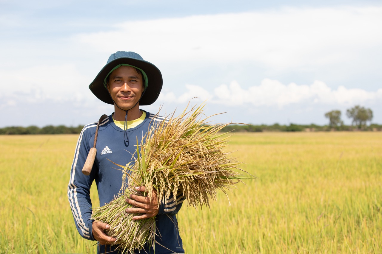 © FAO/Than Rathany
