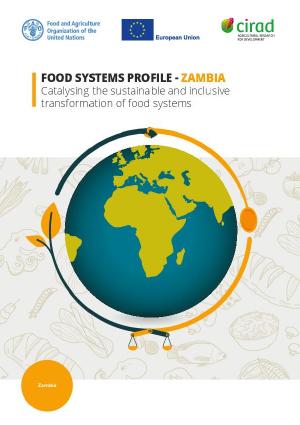 Food Systems Profile Food Systems Profile